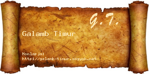 Galamb Timur névjegykártya
